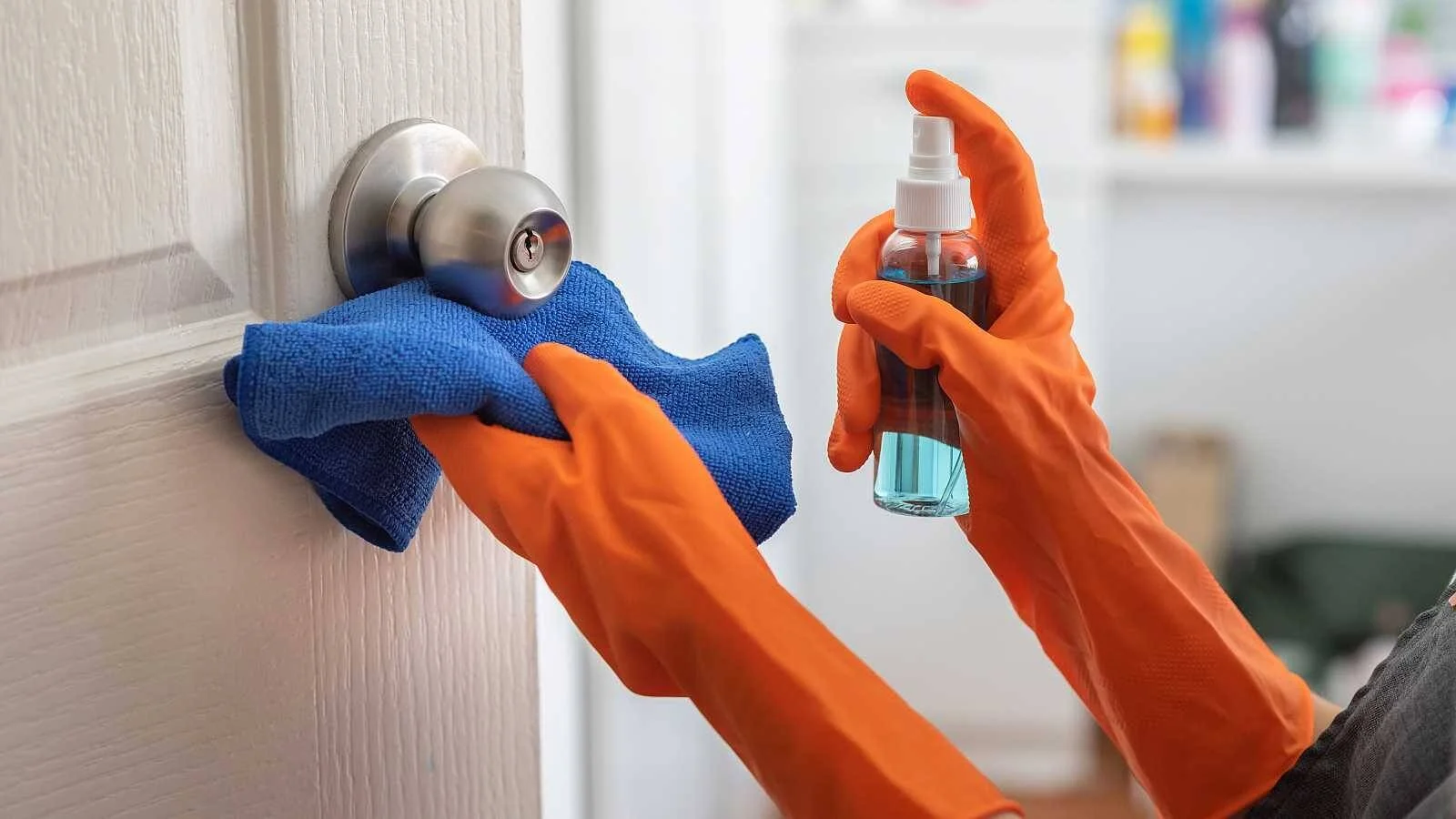 Manos con guantes de goma naranja limpian el pomo metálico de una puerta con un paño azul y spray desinfectante.
