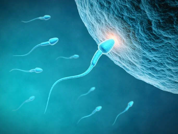 Representación digital de un espermatozoide penetrando un óvulo mientras otros espermatozoides se aproximan.