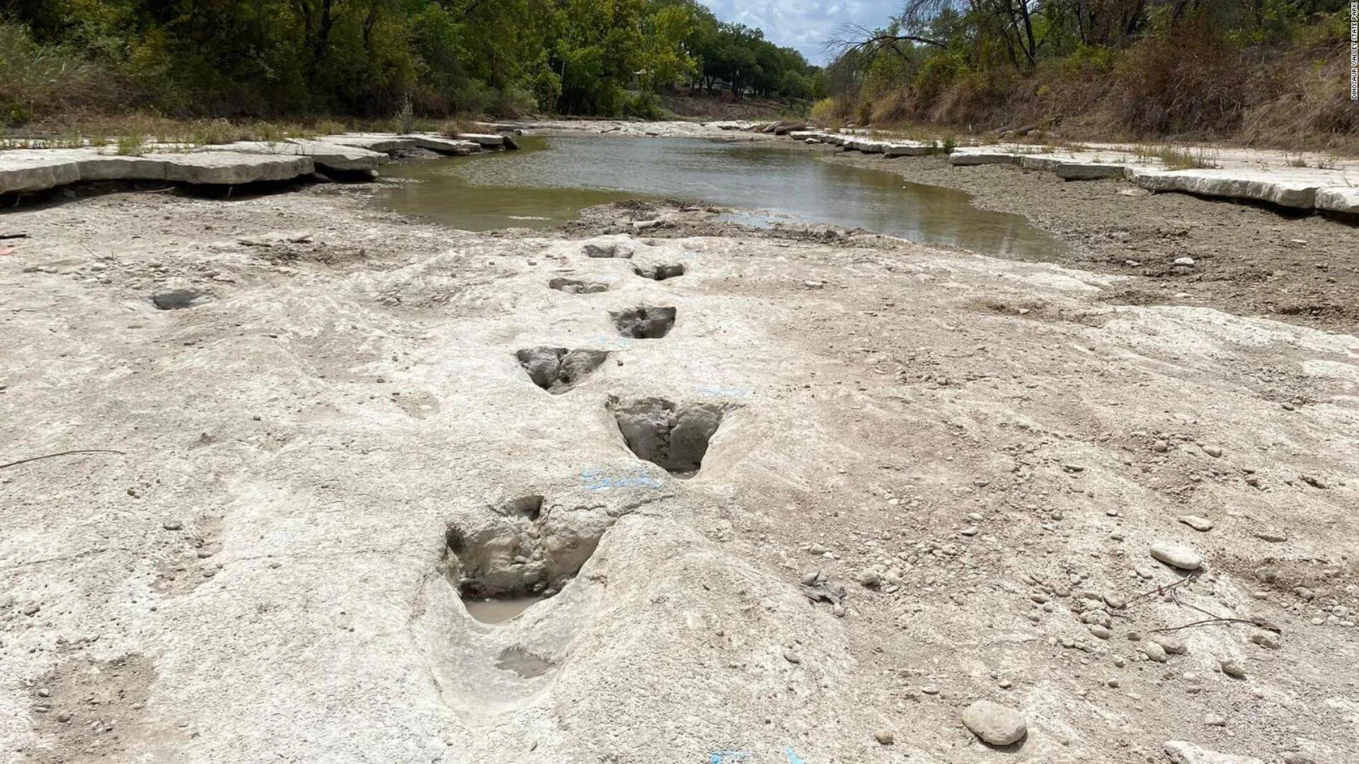 Huellas fósiles de dinosaurio expuestas en el lecho rocoso de un río seco rodeado de árboles.