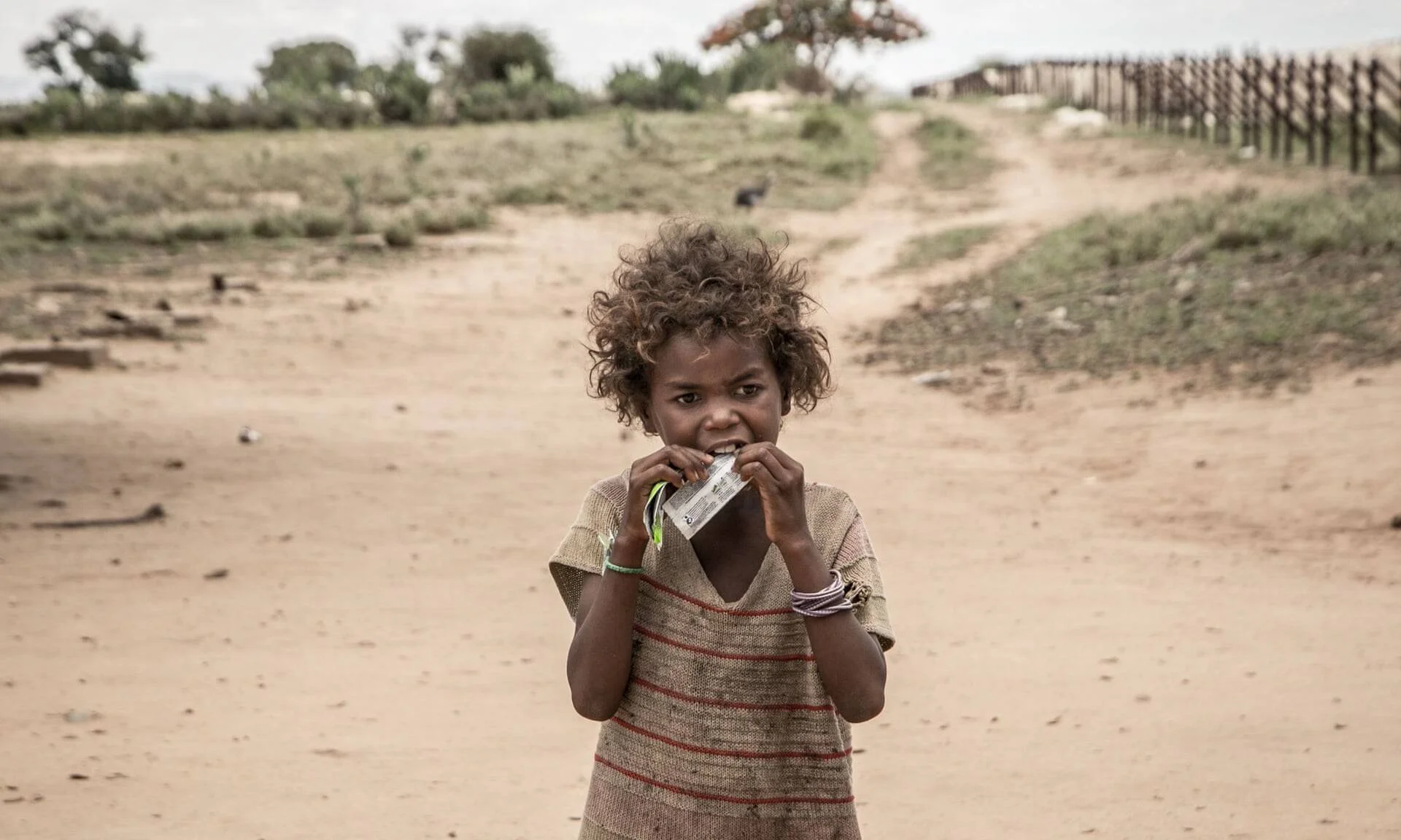 Niña pequeña en ropa raída come un paquete de alimento terapéutico de pie en un camino de tierra seco.