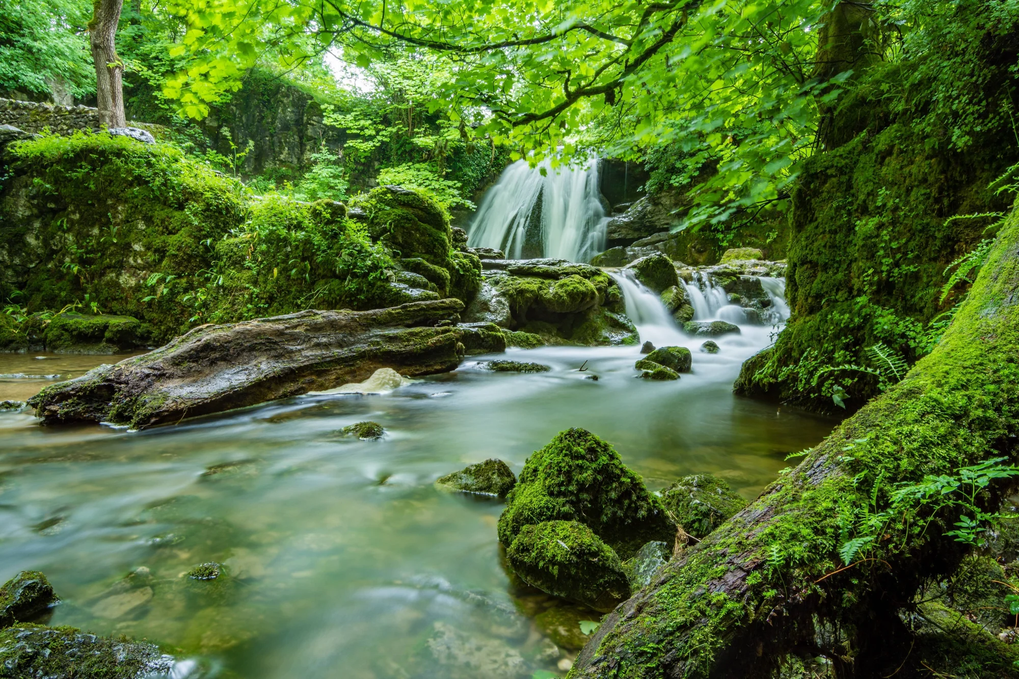 Cascada de larga exposición cae sobre rocas con musgo en un bosque frondoso, formando un arroyo cristalino.