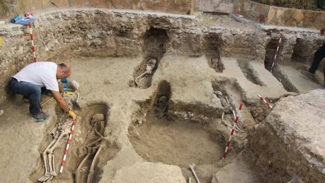 Arqueólogo trabaja en la excavación de múltiples esqueletos humanos hallados en tumbas antiguas durante una excavación arqueológica.