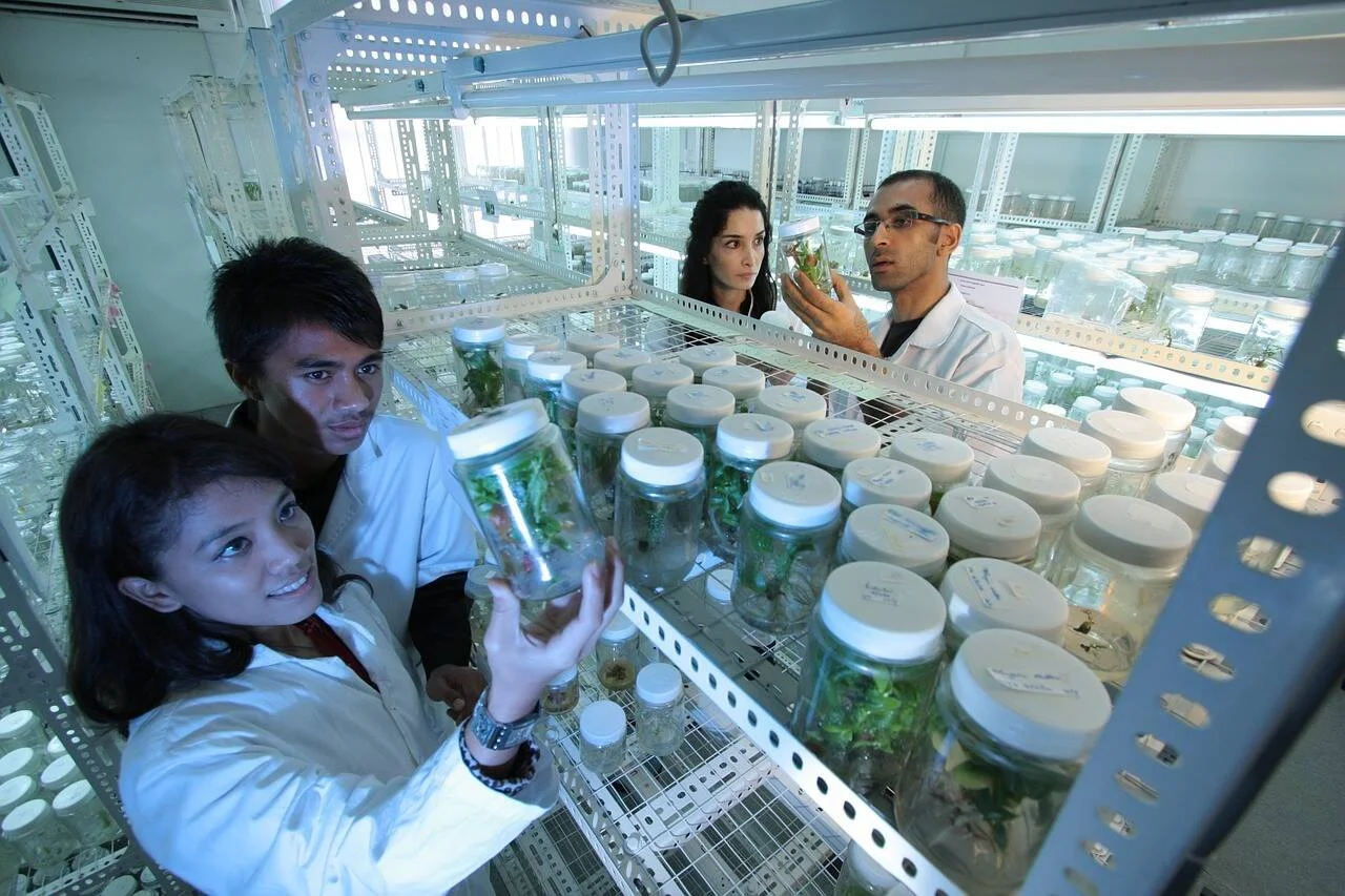 Tres científicos con batas blancas inspeccionan frascos con cultivos de plantas en estantes iluminados de un laboratorio de biotecnología vegetal.