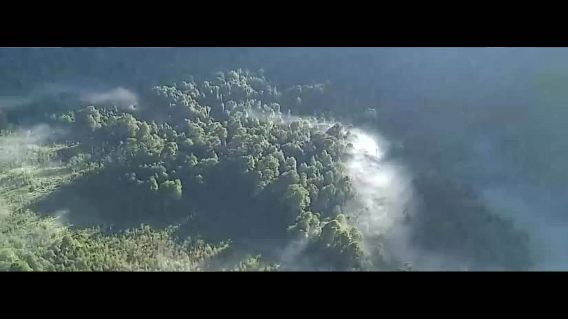 Toma aérea de una densa zona boscosa cubierta parcialmente por nubes bajas y neblina.