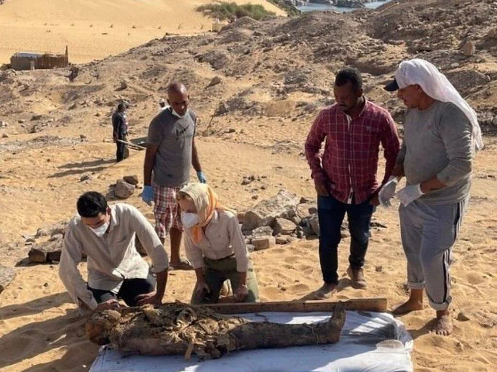Un equipo de arqueólogos examina los restos de una momia recién excavada sobre arena en un sitio desértico.