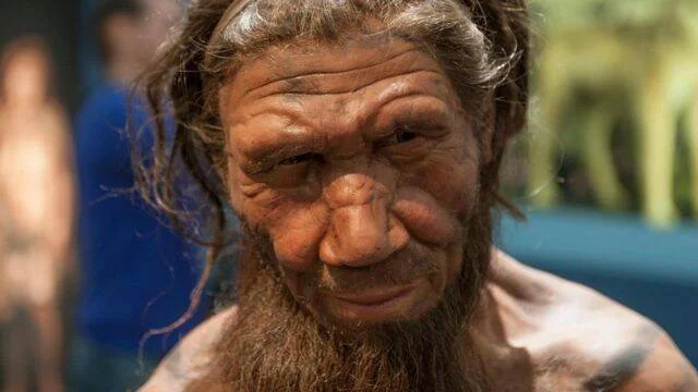 Réplica hiperrealista del rostro de un hombre neandertal con rasgos faciales prominentes, barba y cabello largo.