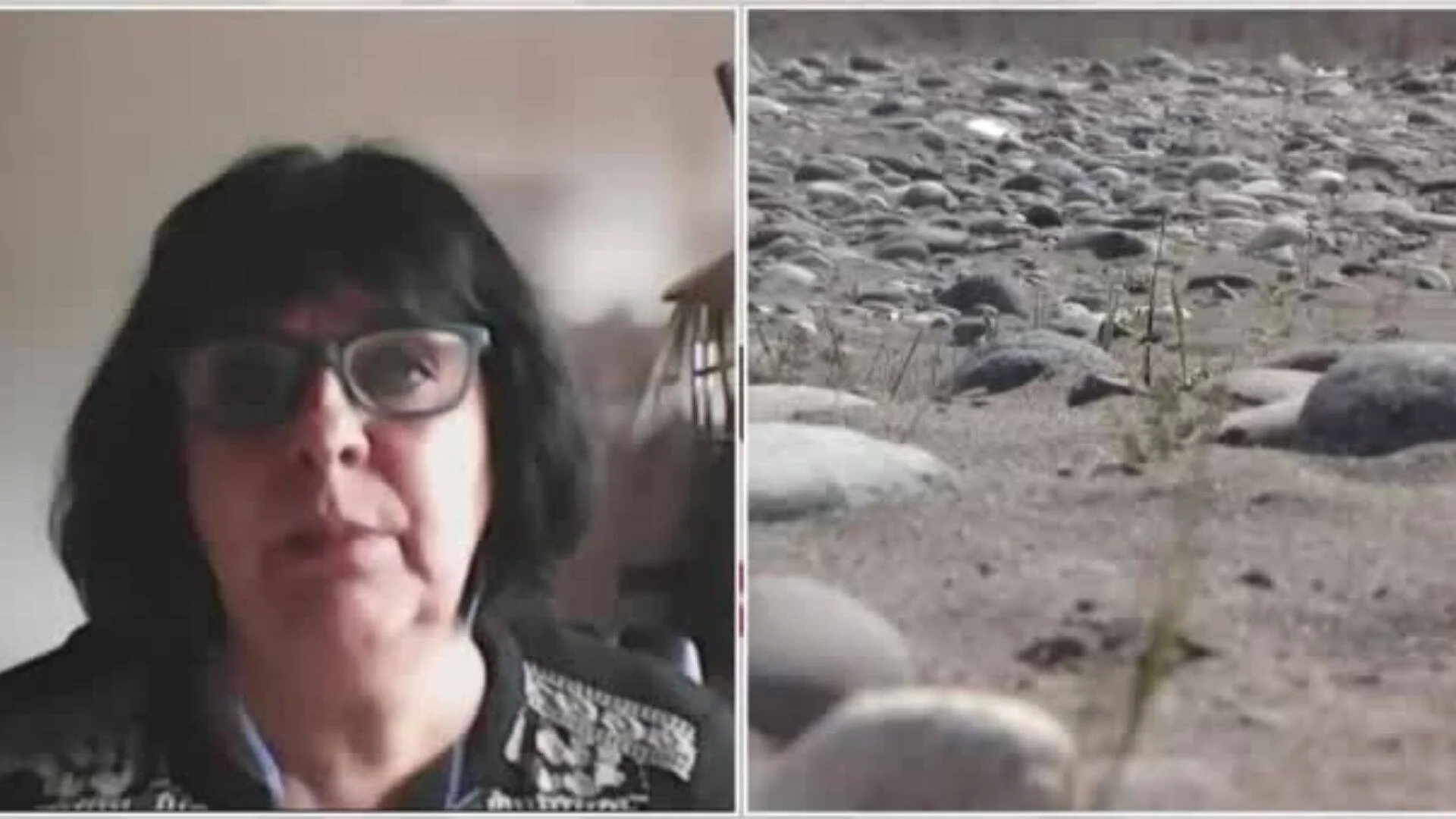 Mujer de cabello oscuro y anteojos habla frente a cámara, junto a imagen de lecho de río seco con piedras y arena.