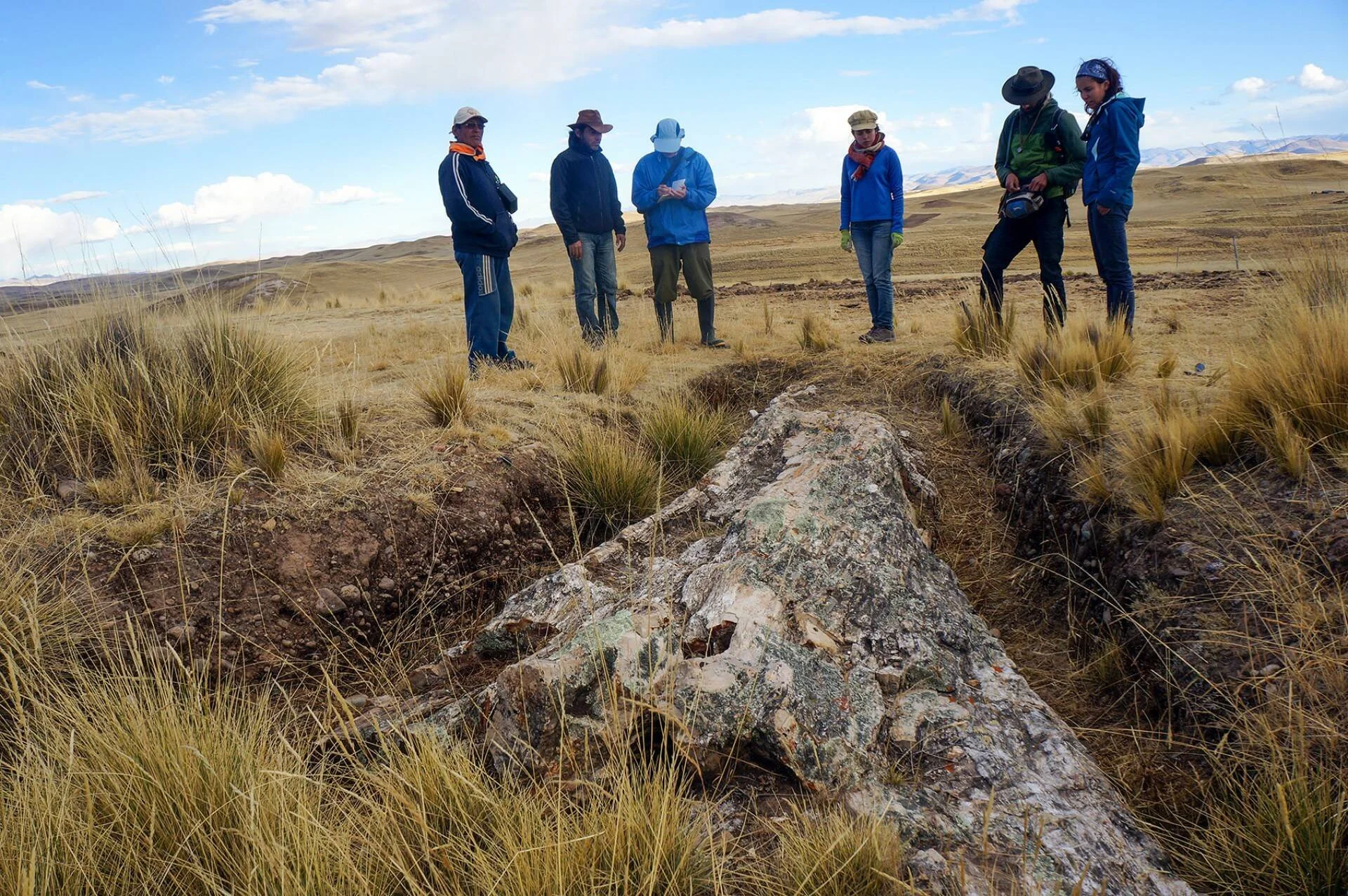 Grupo de investigadores observa un gran fósil o roca aflorante en medio de la estepa altoandina bajo cielo parcialmente nublado.