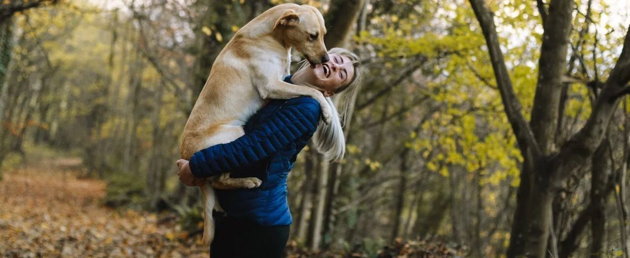 Mujer rubia cargando y abrazando a un perro labrador dorado que le lame la cara, riendo en un bosque en otoño.