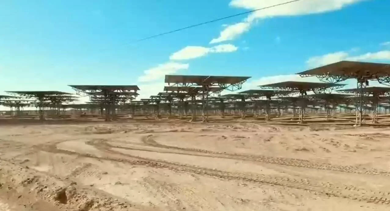 Extenso campo de paneles solares elevados sobre estructuras metálicas instalados en un suelo árido y seco bajo cielo azul.