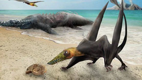 Recreación artística de un pterosaurio en una playa prehistórica junto a un amonite, con un reptil marino muerto al fondo.