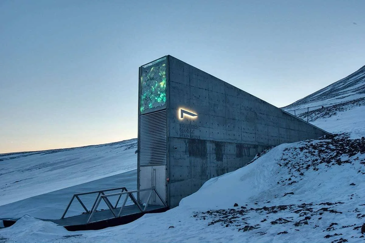 Entrada de hormigón de la Bóveda Global de Semillas de Svalbard iluminada con luz turquesa, rodeada de nieve en el Ártico.