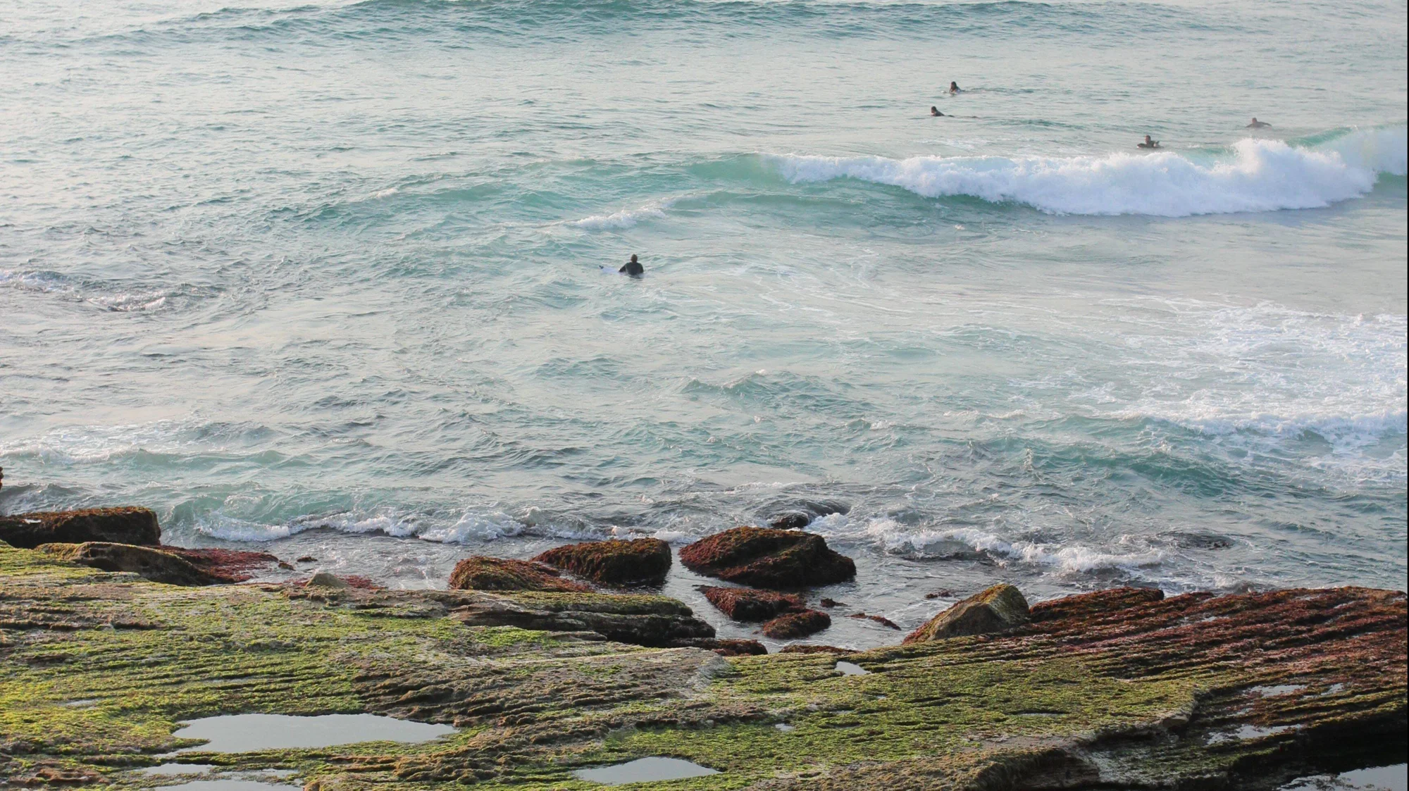 Varios surfistas esperan olas en el mar mientras las olas rompen cerca de rocas cubiertas de algas en la orilla.