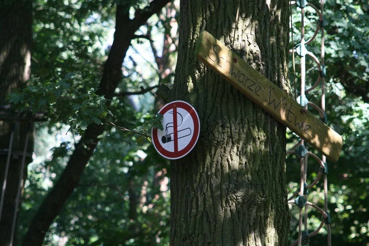 Señal de prohibido fumar y cartel de madera con texto en alemán clavados en el tronco de un árbol en un parque.