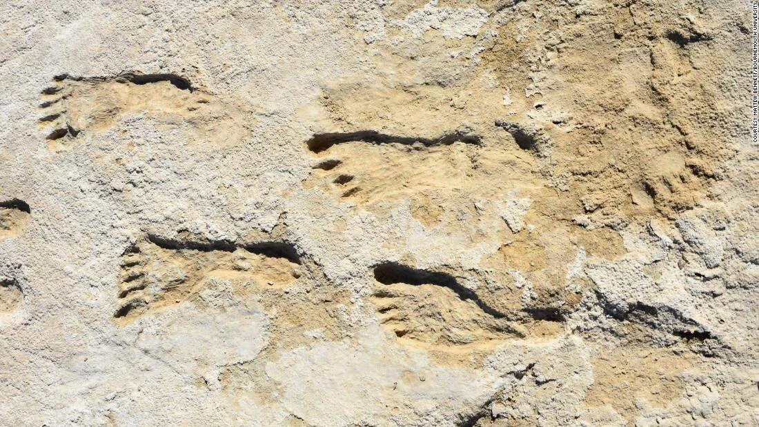 Varias huellas de pies humanos fósiles impresas en una superficie de roca sedimentaria de color beige.