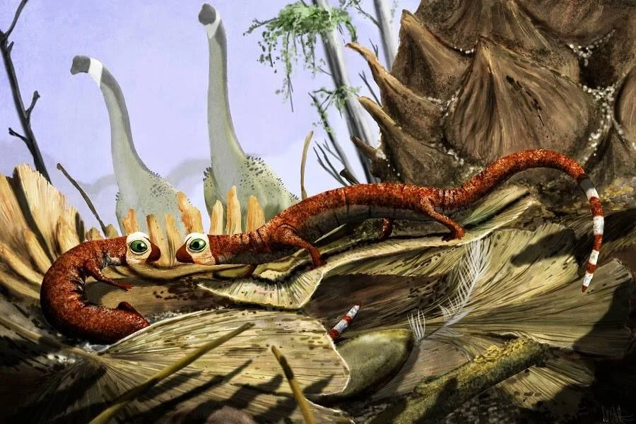 Recreación artística de un animal alargado y rojizo con grandes ojos, posiblemente un organismo del Cámbrico, sobre vegetación primitiva.