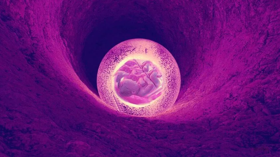Ilustración artística de un embrión humano dentro de una esfera luminosa en un túnel de tonos violetas y rosas.