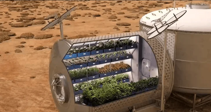 Ilustración de un módulo de cultivo hidropónico con plantas en estantes dentro de una base en la superficie de Marte.