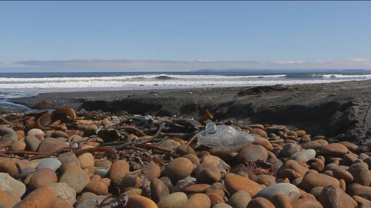 Botella de plástico y residuos arrastrados por el mar entre las piedras de una playa, con olas al fondo.