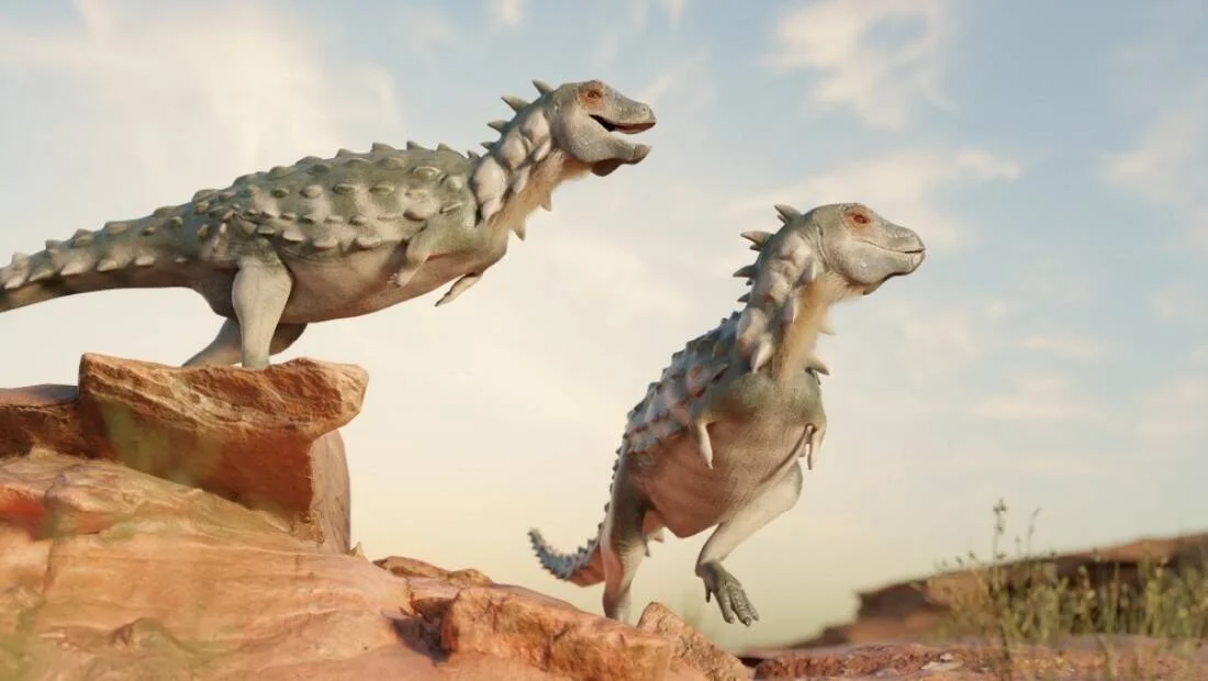 Ilustración 3D de dos dinosaurios acorazados con púas interactuando sobre rocas rojizas en un paisaje árido.