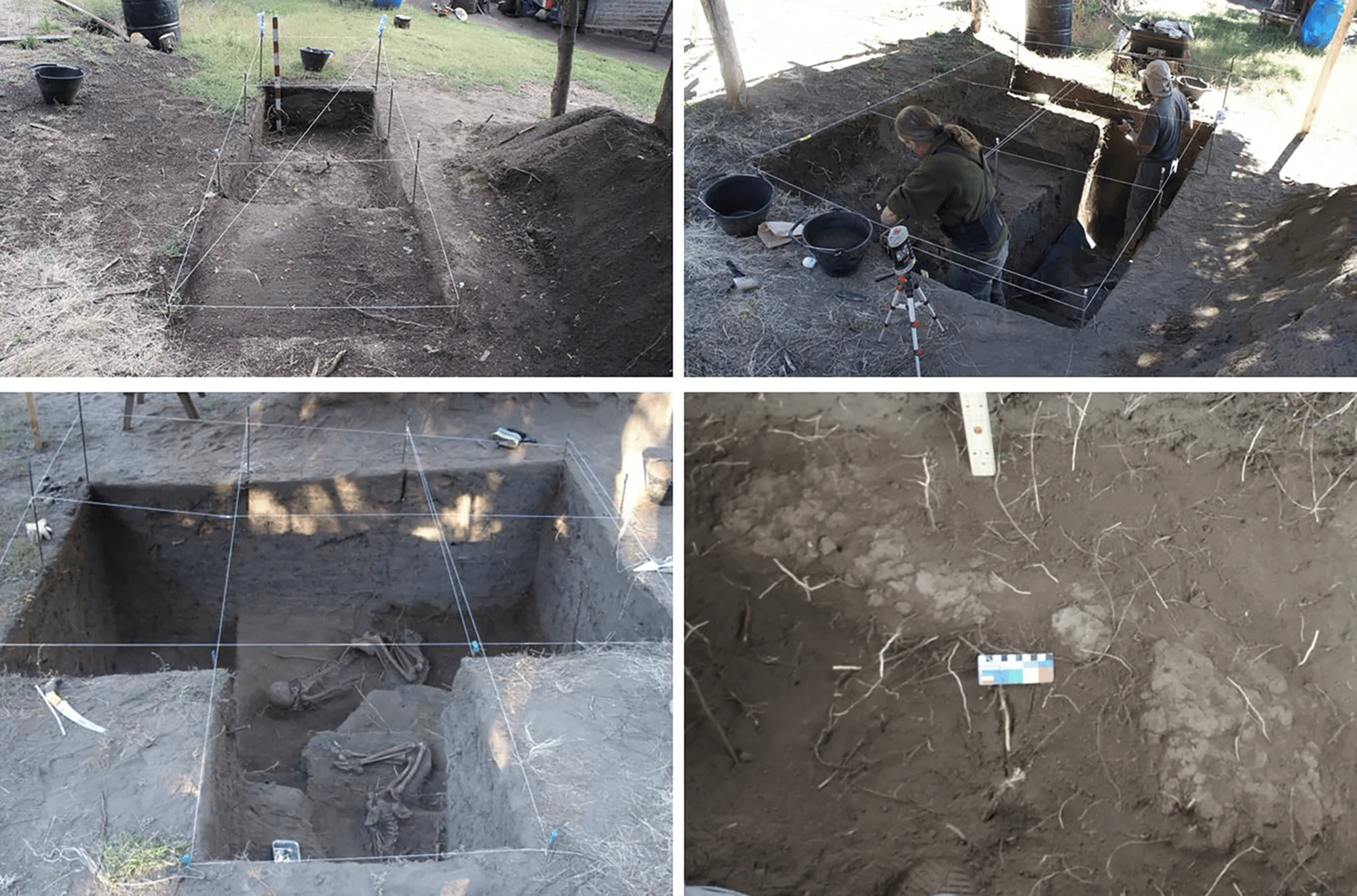Cuatro vistas de una excavación arqueológica: cuadrícula delimitada, arqueólogos trabajando, esqueleto humano expuesto en la fosa y detalle del suelo con escala métrica.