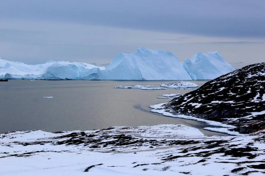 Grandes icebergs azules flotan en aguas árticas junto a una costa rocosa cubierta de nieve bajo un cielo nublado.