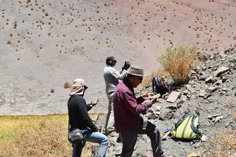 Tres investigadores con sombreros de sol inspeccionan rocas y muestras geológicas en una ladera pedregosa de zona árida.