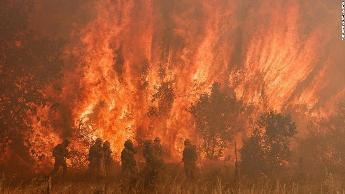 Grupo de bomberos trabajando frente a una enorme pared de fuego que consume árboles y vegetación.