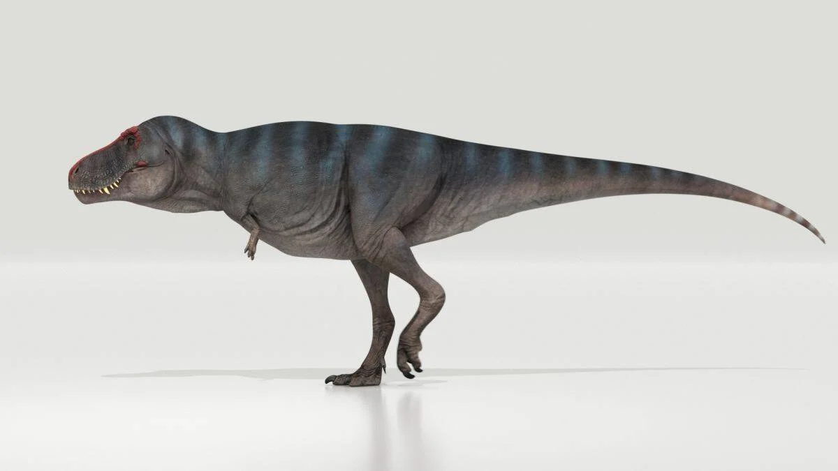 Ilustración 3D de un Tyrannosaurus rex de perfil, con piel gris oscura y rayas azules, sobre fondo blanco.