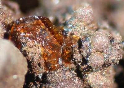 Cristal translúcido de color ámbar anaranjado incrustado en una roca con minerales granulares oscuros y rojizos.