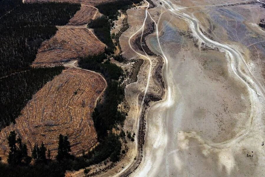 Fotografía aérea que muestra el contraste entre una zona boscosa talada y un extenso terreno árido y seco separados por un camino sinuoso.