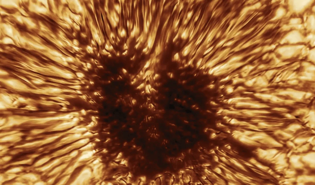 Primer plano de una mancha solar con su umbra oscura central rodeada de filamentos de plasma en tonos dorados.