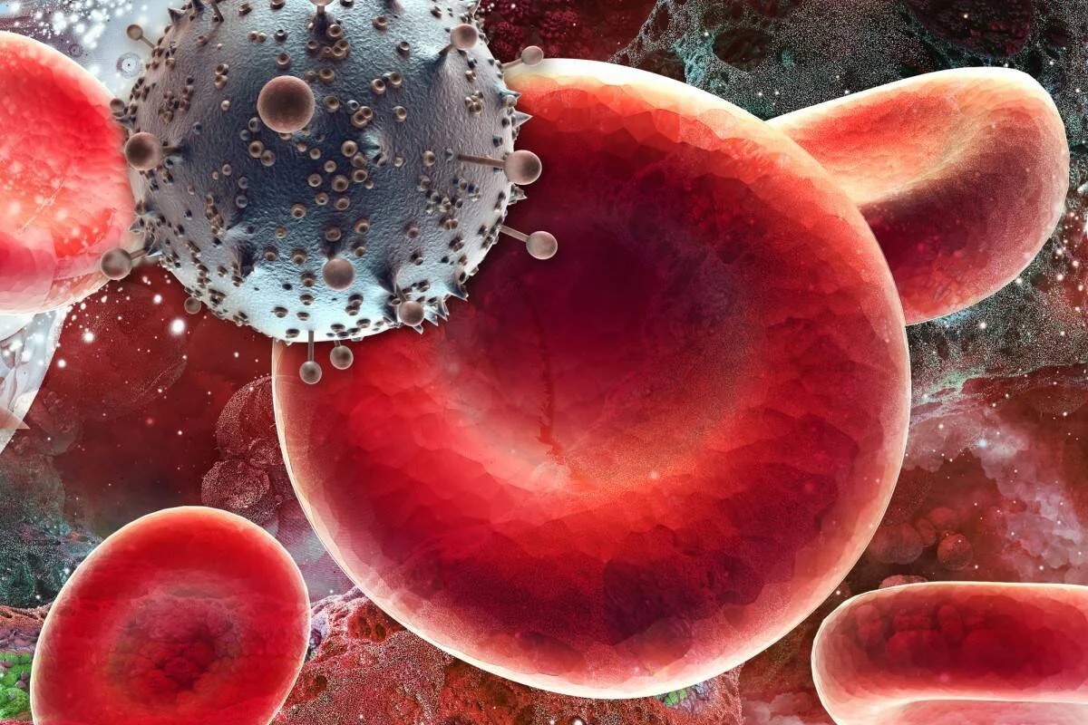 Representación 3D de una célula cancerosa con superficie espiculada interactuando con glóbulos rojos en el torrente sanguíneo.