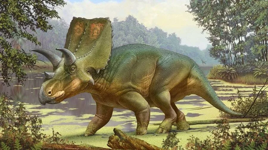 Reconstrucción artística de un dinosaurio ceratopsiano con cuernos y gran collar óseo caminando en un entorno pantanoso prehistórico.