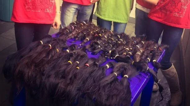 Varias personas rodean una mesa con decenas de mechones de cabello oscuro atados con ligas de colores, listos para donar.