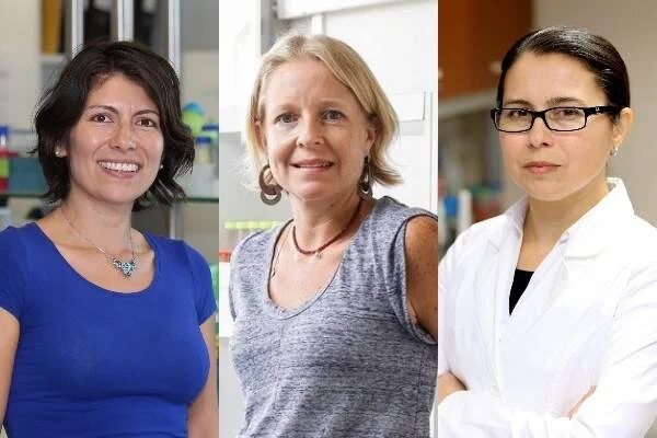 Tres investigadoras posando en distintos entornos de laboratorio, una con blusa azul, otra con camiseta gris y una tercera con bata blanca.