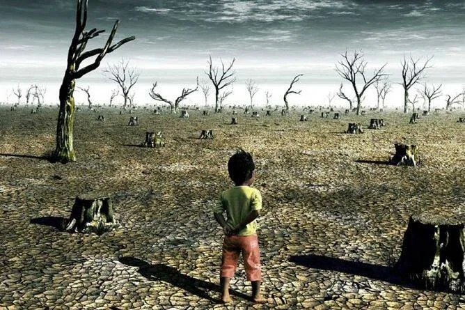 Niño pequeño de espaldas observa un paisaje árido con tierra reseca, árboles muertos y tocones, símbolo del impacto del cambio climático.