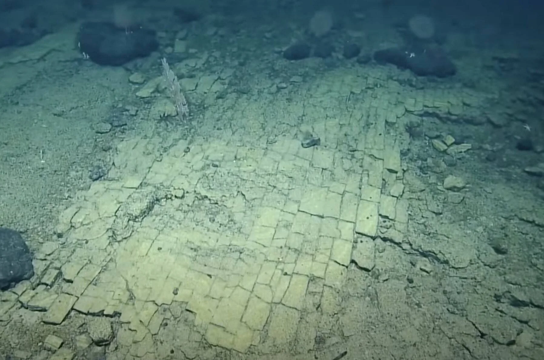 Roca volcánica con fracturas rectangulares regulares en el fondo del océano, semejante a un camino de adoquines.