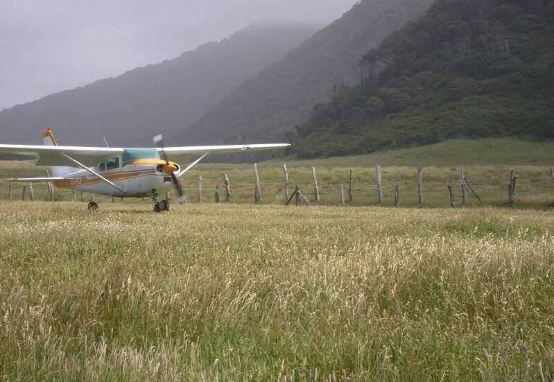 Avioneta de hélice estacionada en una pista de hierba rodeada de montañas con vegetación densa y cielo nublado.