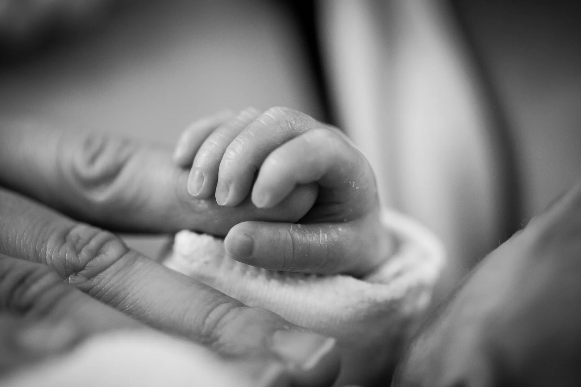 La diminuta mano de un recién nacido aprieta el dedo de un adulto, en blanco y negro.