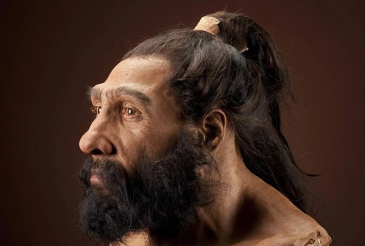 Reconstrucción forense hiperrealista del rostro de un hombre neandertal con cabello largo oscuro recogido y barba frondosa.