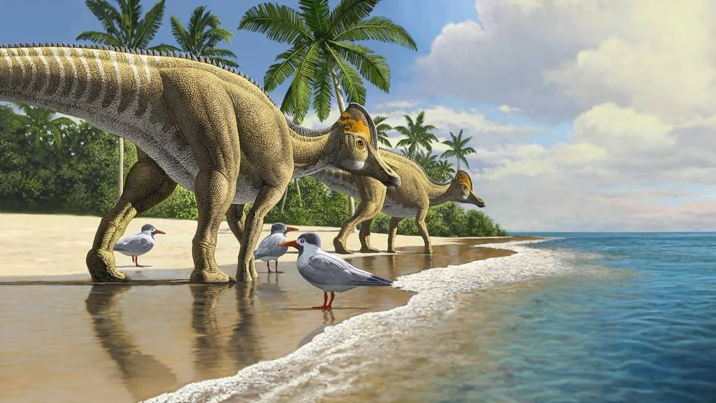 Recreación artística de dinosaurios hadrosáuridos caminando por una playa tropical junto a aves marinas modernas, mostrando contraste de escala.