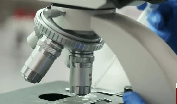 Primer plano de los objetivos de un microscopio óptico mientras una persona con guantes azules manipula una muestra en el laboratorio.