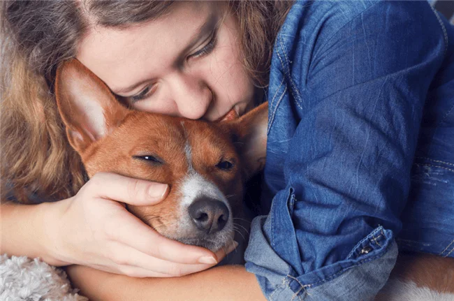 Mujer joven abraza y apoya su mejilla sobre un perro basenji marrón y blanco, ambos con los ojos cerrados.