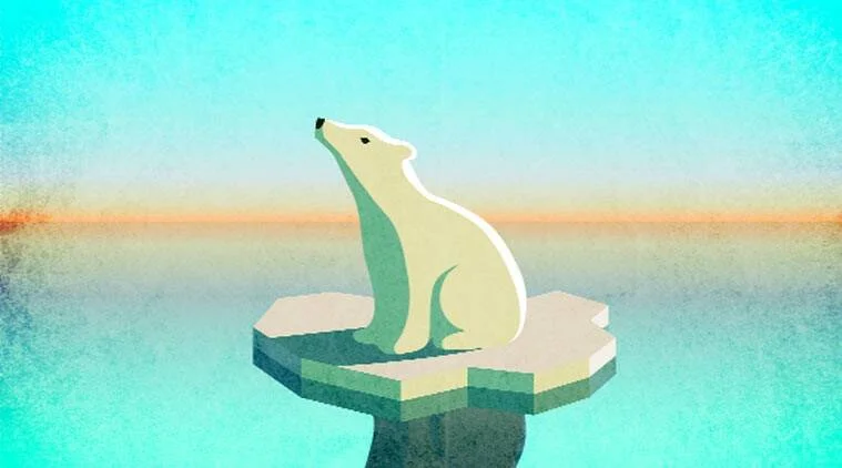 Oso polar ilustrado sobre un pequeño témpano de hielo que se derrite en el océano, simbolizando el cambio climático.