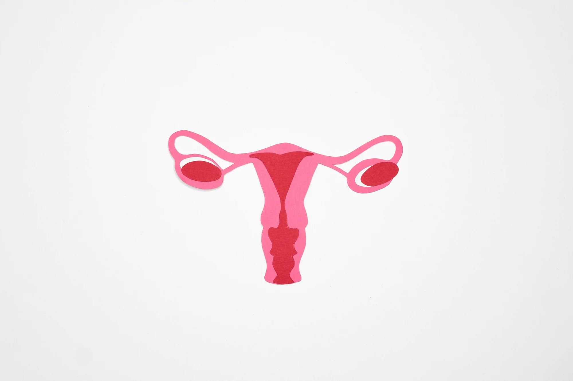 Recorte de papel en tonos rosas que representa el útero, trompas de Falopio y ovarios del sistema reproductor femenino.