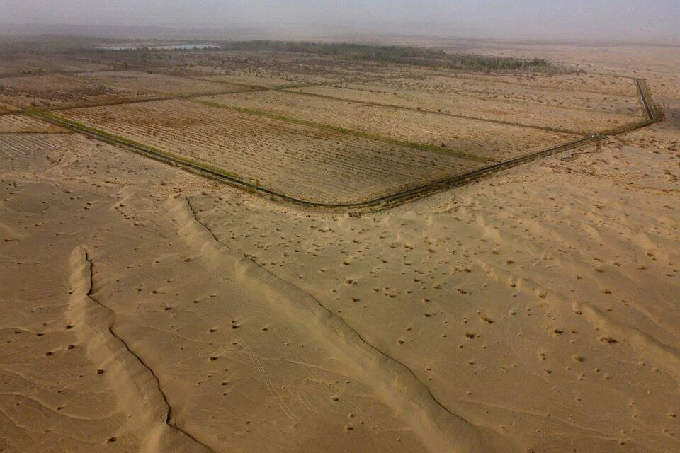 Dunas de arena avanzan sobre parcelas de cultivo delimitadas por cercas en medio de un paisaje desértico árido.