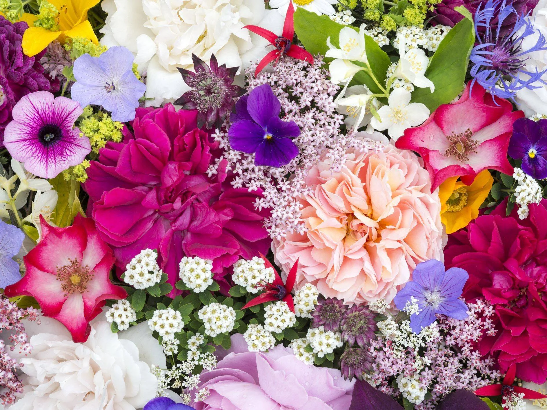 Composición densa de flores variadas en tonos fucsia, salmón, blanco, lila y amarillo, incluyendo rosas, petunias y pensamientos.