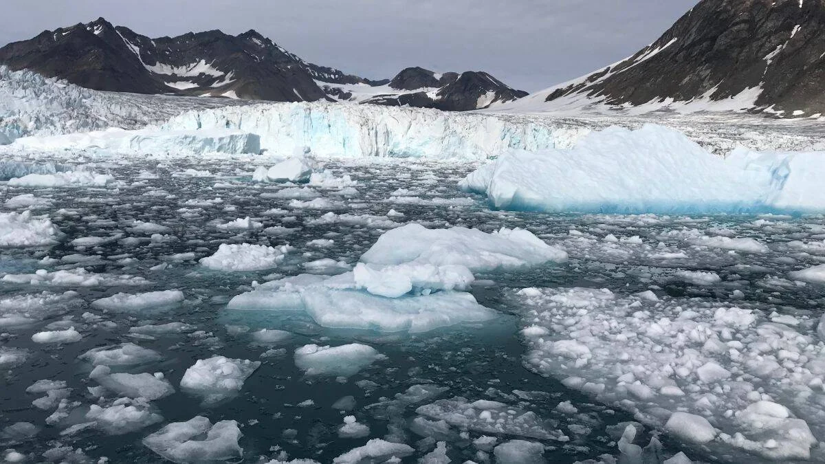 Frente de un glaciar ártico desprendiendo bloques de hielo que flotan en aguas frías, rodeado de montañas nevadas.