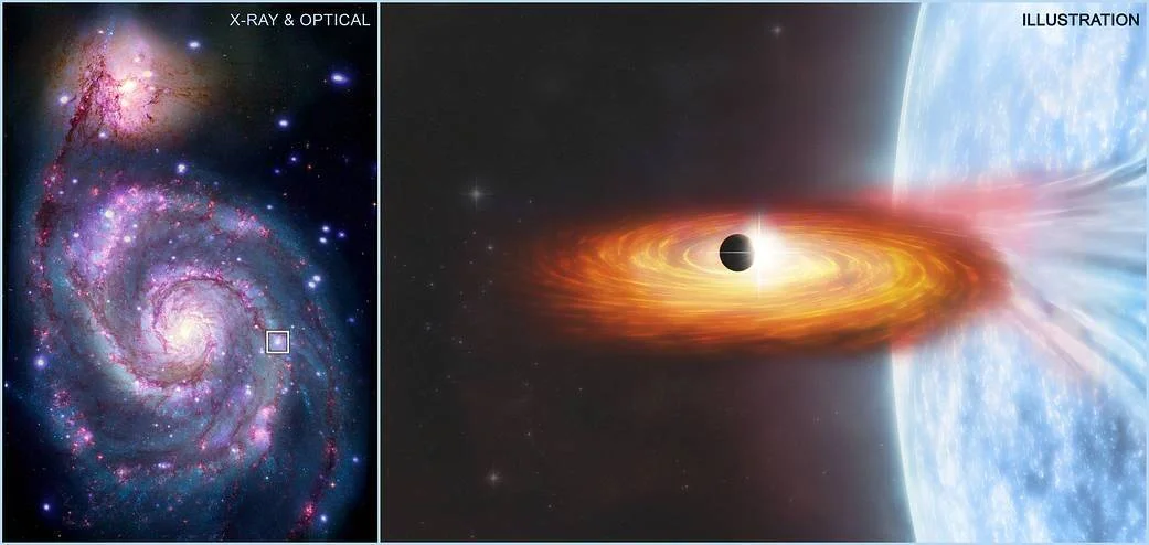 Imagen combinada de rayos X y óptica de una galaxia espiral junto a ilustración de un agujero negro con disco de acreción orbitando una estrella azul.